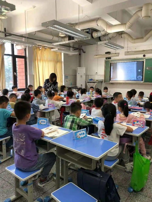 積極組織課后服務(wù)，讓教育更有溫度——一年級課后延時服務(wù)活動紀實與教育咨詢服務(wù)
